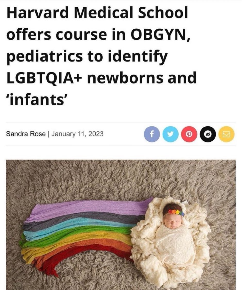 𝐆𝐫𝐞𝐠 tweet media