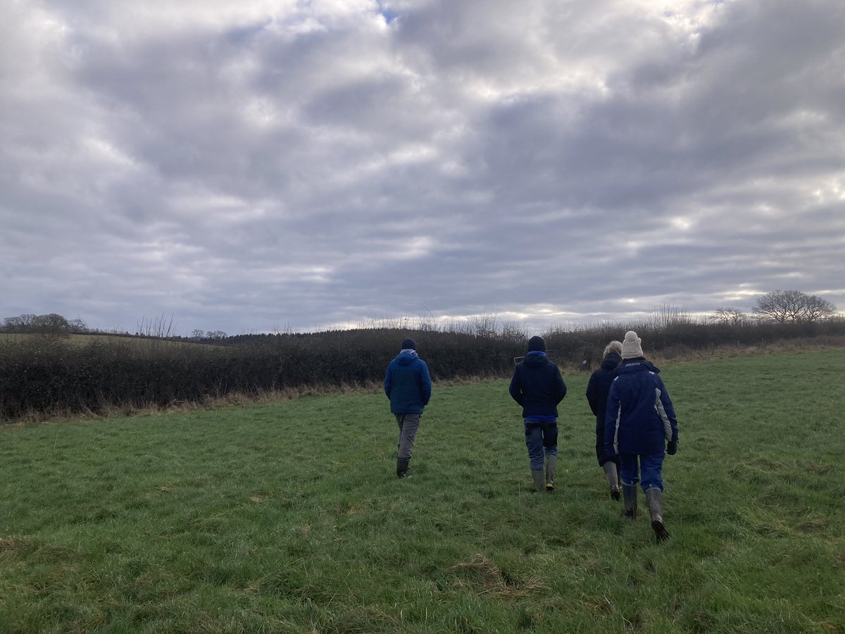 An excellent day being shown around @HealRewilding site by @hannahrewilding and the team in Somerset. The site is showing very encouraging changes just 1 year into the project, with lots of exciting plans for the coming months and years. I can’t wait to see it again soon!