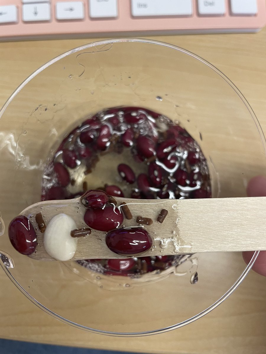 SGHawksMA's tweet photo. Learning the components of blood with corn syrup (plasma) red beans (RBC) white beans (WBC) sprinkles (platelets) @fhansonic @ChadHarrisonSG @nccvtsd https://t.co/vvkHJ563Yc