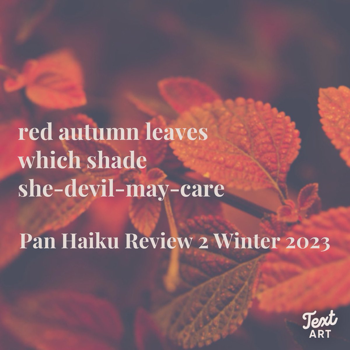 Grateful to <a href="/haikutec/">Alan Summers</a> for including this #tercet in Pan Haiku Review 2. Read all the poems here. Great variety. Really interesting read! #haiku #senryu #kigo

callofthepage.org/the-pan-haiku-…