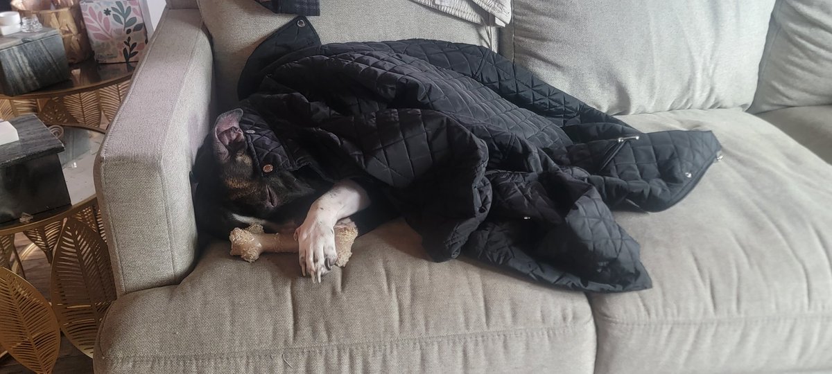 mister wife guy tweet media