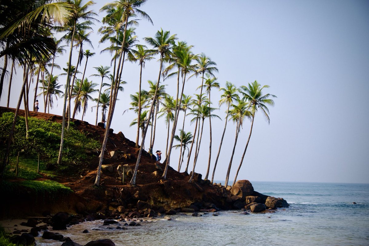useless_boring's tweet photo. #morning #coconuthill #Mirissa #SriLanka #canon https://t.co/12t0Q34Ige