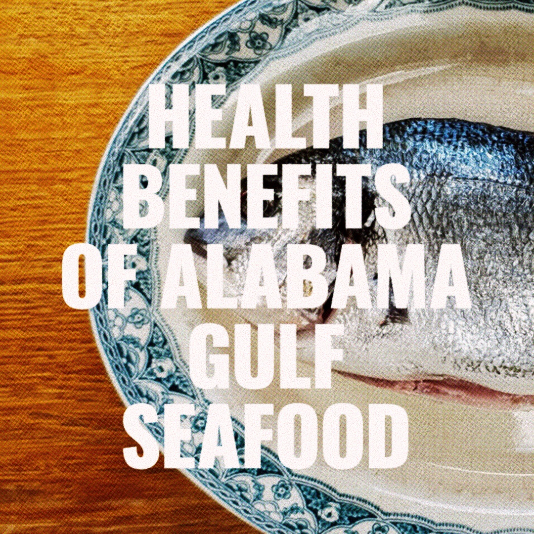 Alabama Seafood tweet media