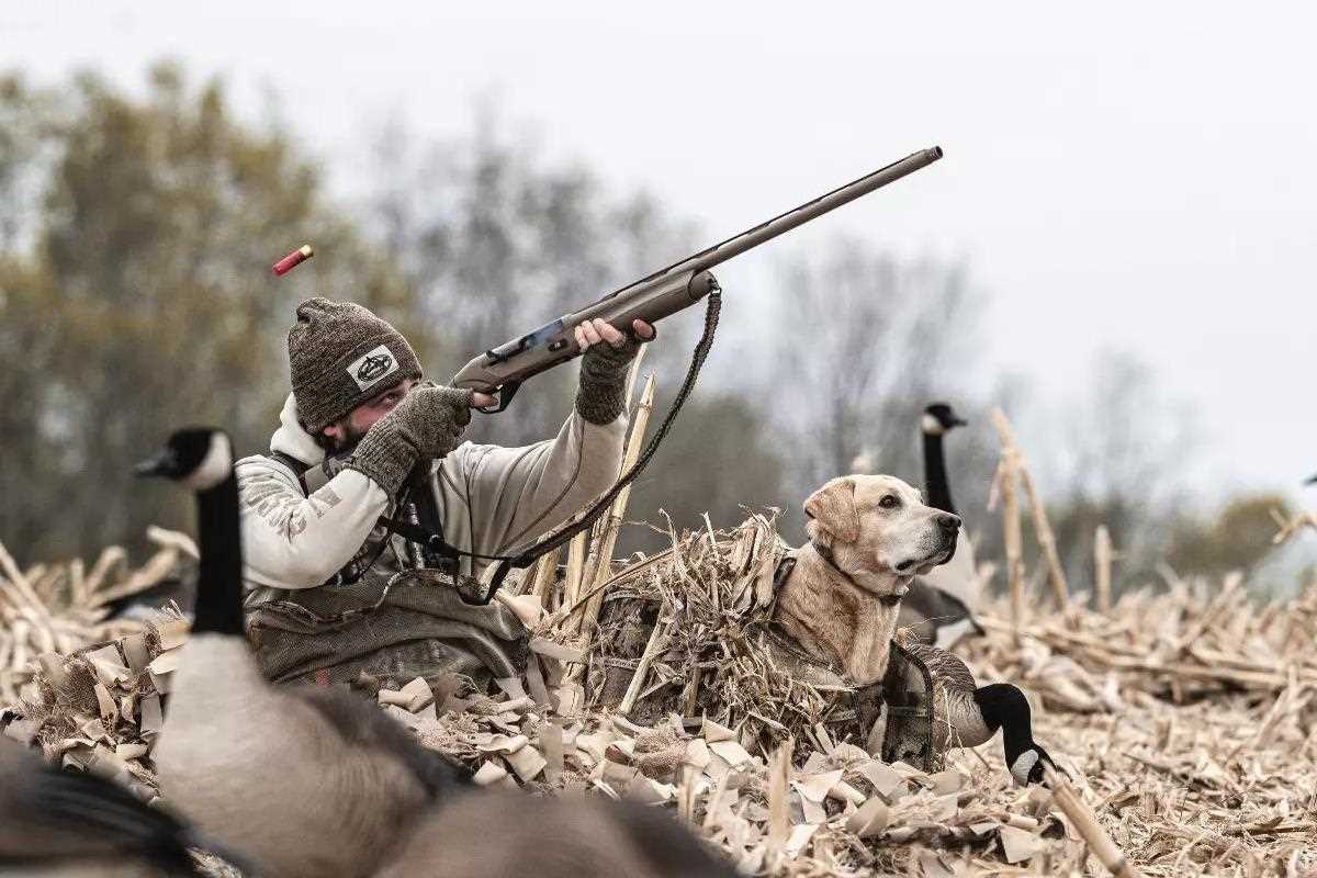 SPORTSMANchnl's tweet photo. Lay Low With a Layout Blind and Put More Birds on the Ground. Here's how layout blinds are still proven to be deadly via WILDFOWL Magazine: https://t.co/eQvg3PAsfM
#ITSINOURBLOOD #hunting #waterfowl #waterfowlblind #layoutblind #goose #gooseblind https://t.co/z5bVM5G5MY