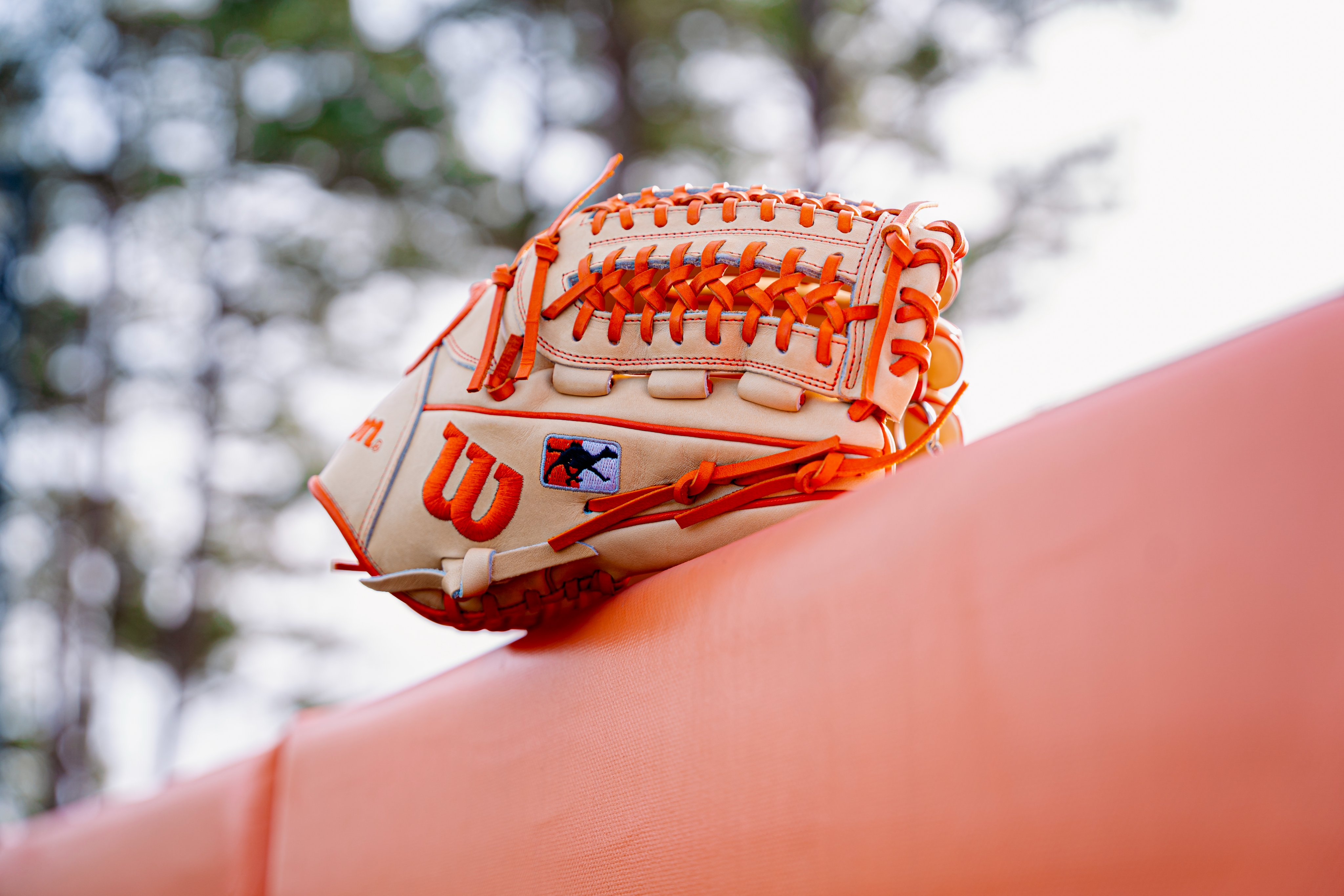 Wilson Baseball & Softball (@wilsonballglove) / X