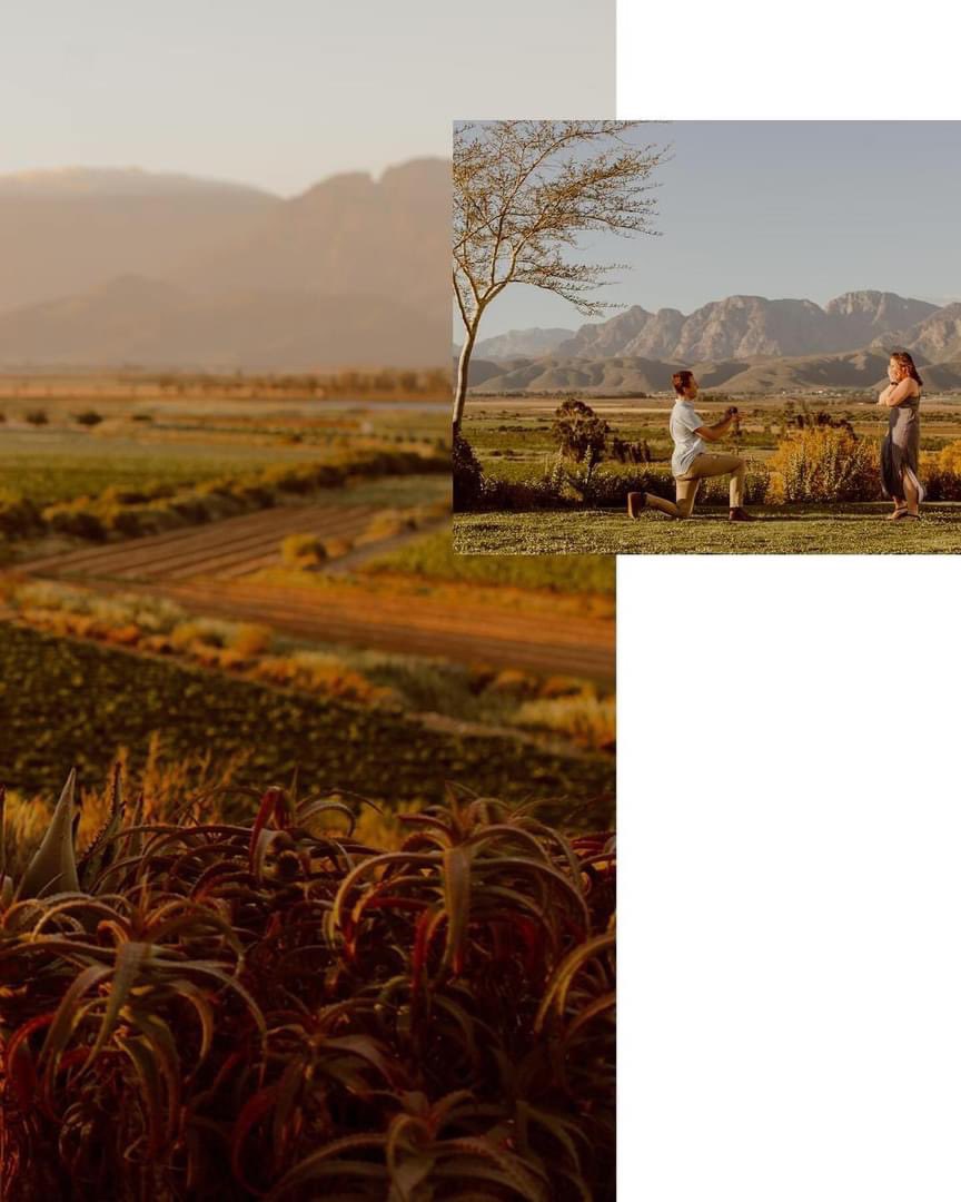 NUYWINERY's tweet photo. 🥂💍Breathtaking views for a perfect engagement photo shoot! 🥂💍
📸 - Amelia Maria Photography
#NuyWinery #WineOfTrueCharacter #Photoshoot #Engament https://t.co/PKzYqSJGcw