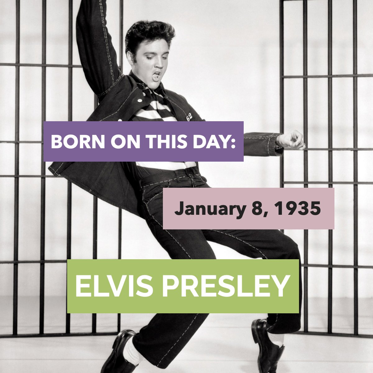 thefrygroupmn's tweet photo. Today marks the birthday of the King of Rock &amp; Roll.

What's your favorite Elvis movie or song? 

#musicicon #borntoday #bornonthisday #famousbirthdays #elvispresleyforever #elvispresley #elvisaaronpresley #elvis 

 #TheFryGroup #IknowRealEstate #TwinCitiesRealEstate https://t.co/KfUFBIfu3s