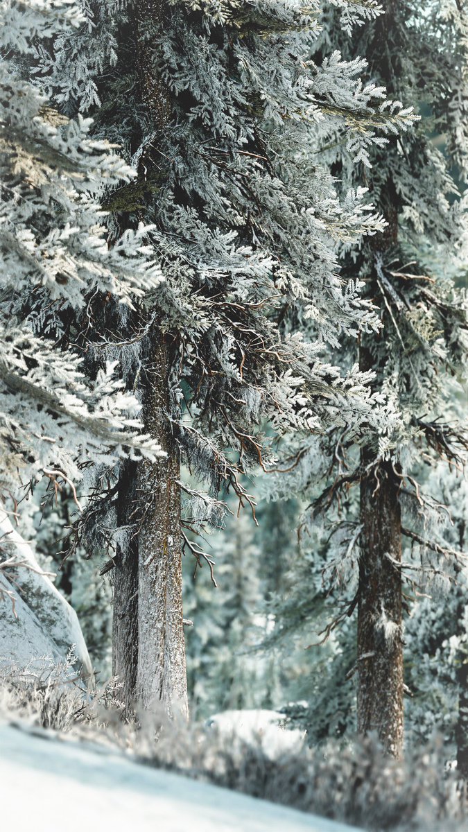 Bend Studio tweet media