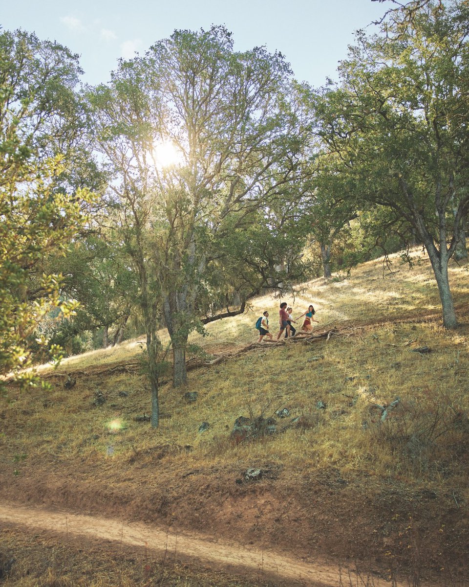 Take a hike? Don't mind if we do! 🤣 Hit these beautiful hiking spots around town:

🥾 Jim Green Trail 
🥾 Stadium Park
🥾 Cerro Alto State Park
🥾 Three Bridges Oak Preserve 
🥾 Las Lomas Nature Preserve
🥾 Atascadero Lake Park

Find more trail info here: bit.ly/3QqYp4t