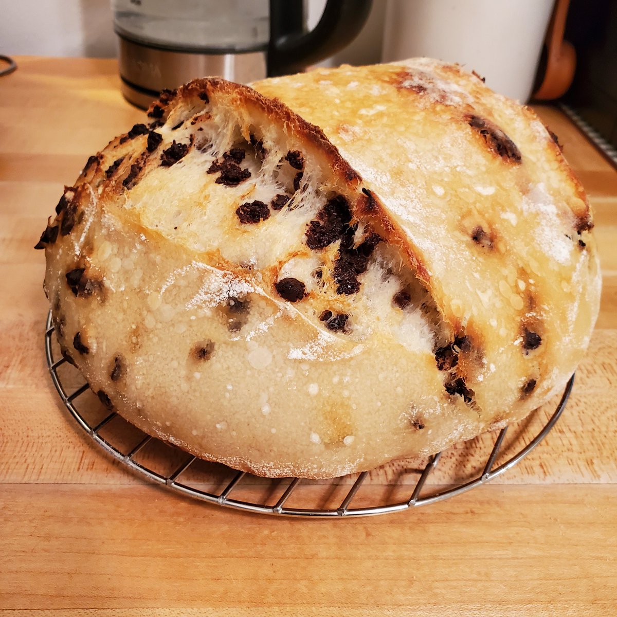 ReneaLynnMN's tweet image. Chocolate Chip Sourdough 🥰
#bread #sourdough #microbakery