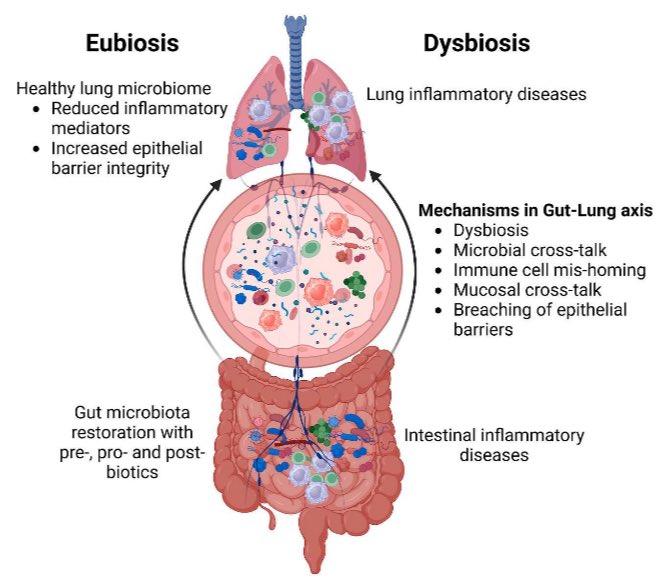 balahumed's tweet photo. an interesting review by our Team from RIMHS-UoS. A Review on Gut-Lung axis with Future directions. Thanks for the wounderful team and all the authors.

https://t.co/7NxC5PkVC4 https://t.co/8SKOCi7GAM