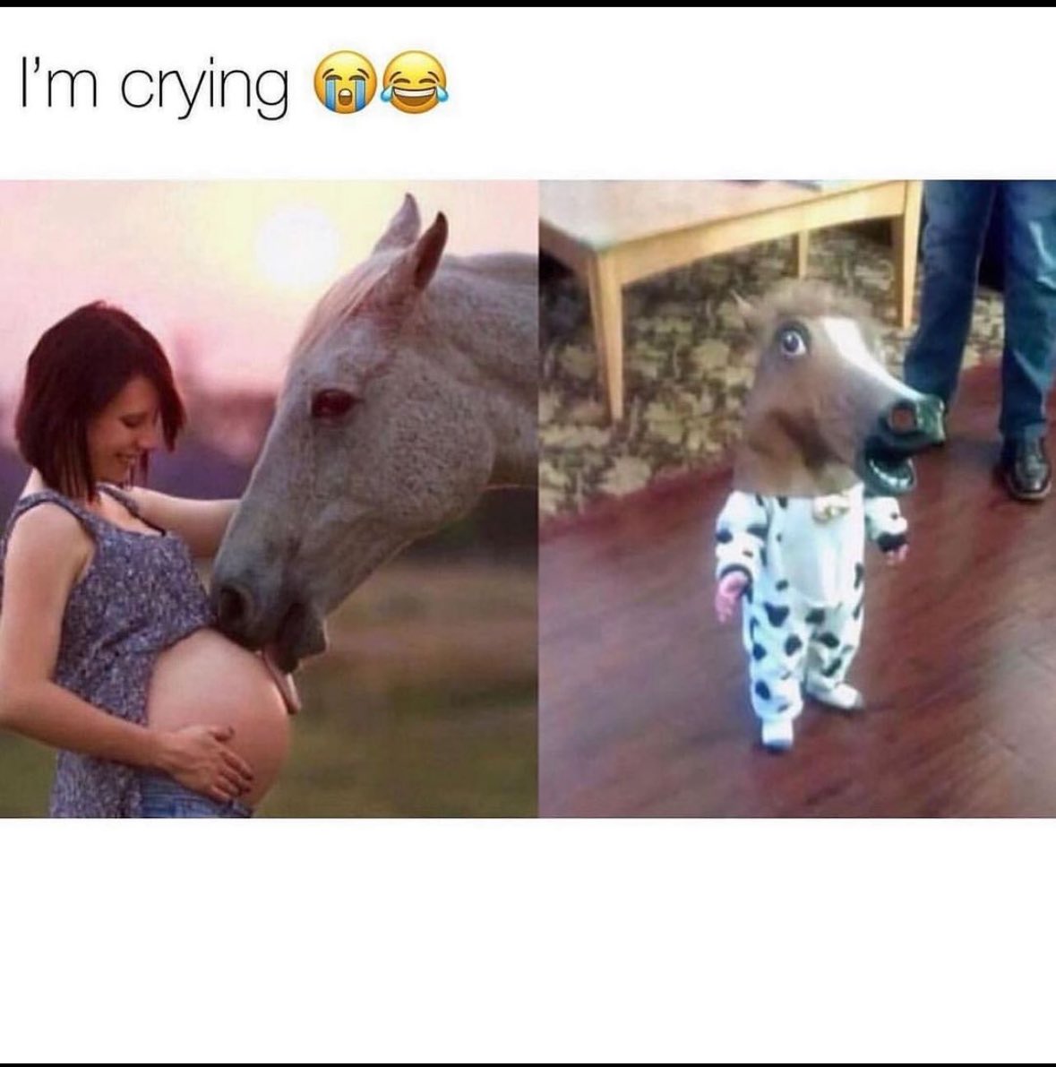 ger1_german's tweet photo. 🤣🤣🤣🤣 https://t.co/IEmvxnpPA7