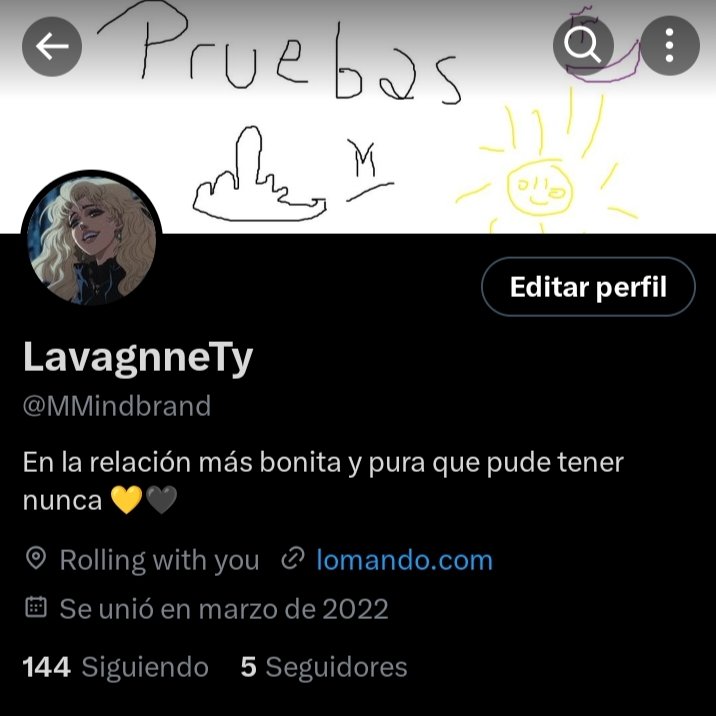 LavagnneTy tweet media