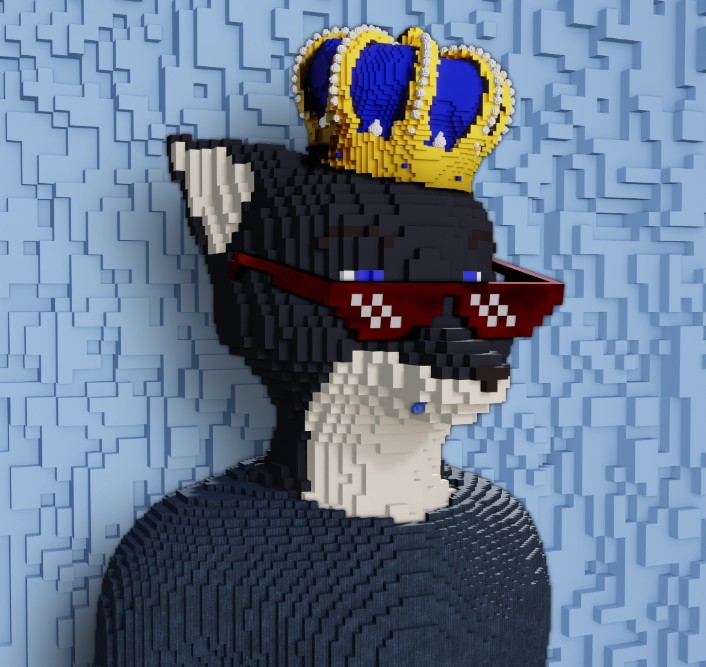 iamnowhere 🐨 tweet media