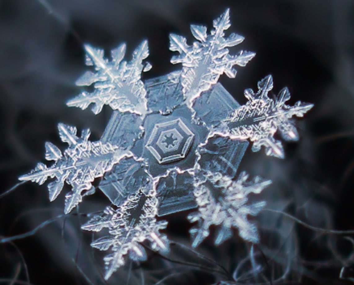 ooumsgh's tweet photo. Regardez ça c’est un flocon de neige au microscope, soubhana الله

La création d’ الله est trop parfaite https://t.co/GyDYG9RnHQ