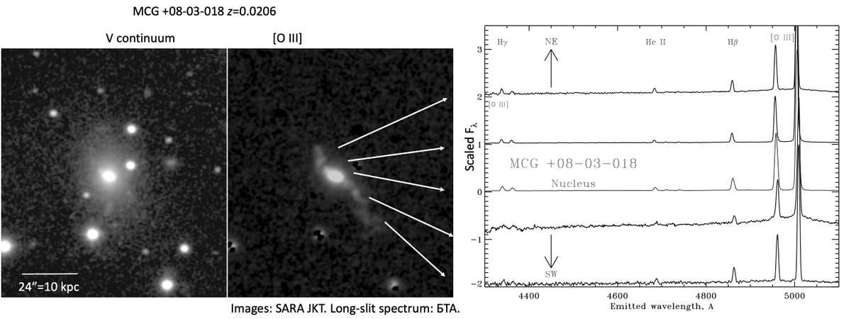 Today at #AAS243, we (w/@vrooje, @AlexeiMoiseev1, @AFJonkeren, more) have a status report on new giant AGN clouds (AKA Voorwerpjes) found by @galaxyzoo participants: aas243-aas.ipostersessions.com/default.aspx?s… The one here was found on Pan-STARRS data, much larger in deep images. [1]