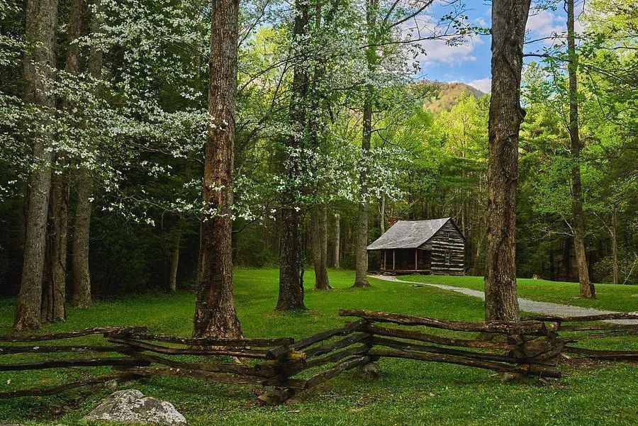 ImagesByJonEvan's tweet photo. Photography from Smokey Mountain National Park is a great way to decorate your walls and add interesting and unique textures to your space #photography #homedecor #decorate #inreriordesign #artlover #vacation #naturelover #travel #tennessee #smokyMountains https://t.co/gYI50CTWIN https://t.co/51awNKlix5