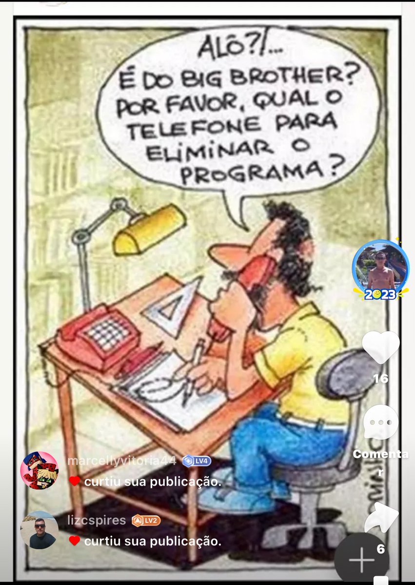 Por que o Tik Tok removeu esta charge?