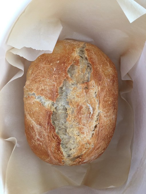 I am so excited! I just pulled this bread I made from scratch out of the oven! No bread maker this time<a href="/tag/cupcakefetish"class="tags"><span>#cupcakefetish</span></a>