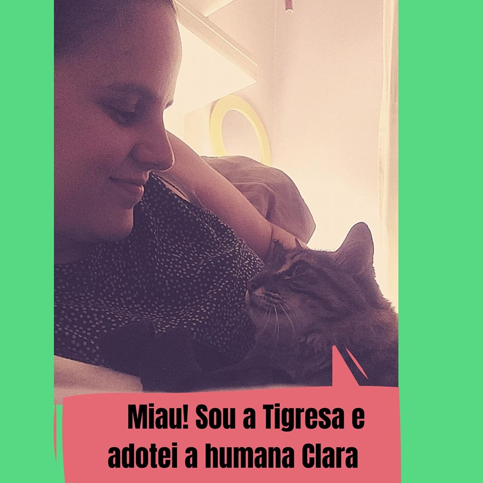 ongflagato's tweet photo. Nada como começar o ano com lindas notícias né, Miaumigos?

Tivemos várias adoções nesse começo de ano!

Mas muitos gatinhos continuam abandonados no Parque 😿

Entre em contato pelo link da bio e ajude a salvar uma vida 💚

Nos ajudem com RT? https://t.co/iiByxmJKra