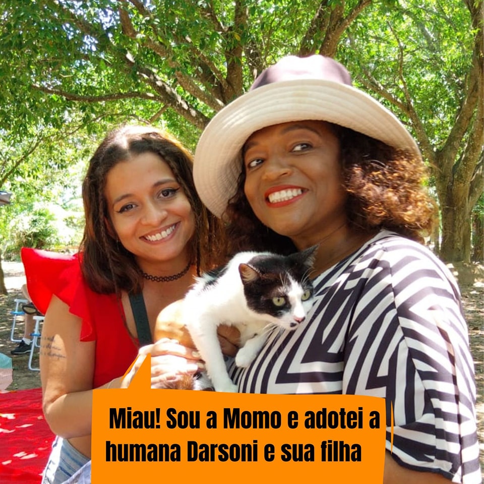 ongflagato's tweet photo. Nada como começar o ano com lindas notícias né, Miaumigos?

Tivemos várias adoções nesse começo de ano!

Mas muitos gatinhos continuam abandonados no Parque 😿

Entre em contato pelo link da bio e ajude a salvar uma vida 💚

Nos ajudem com RT? https://t.co/iiByxmJKra