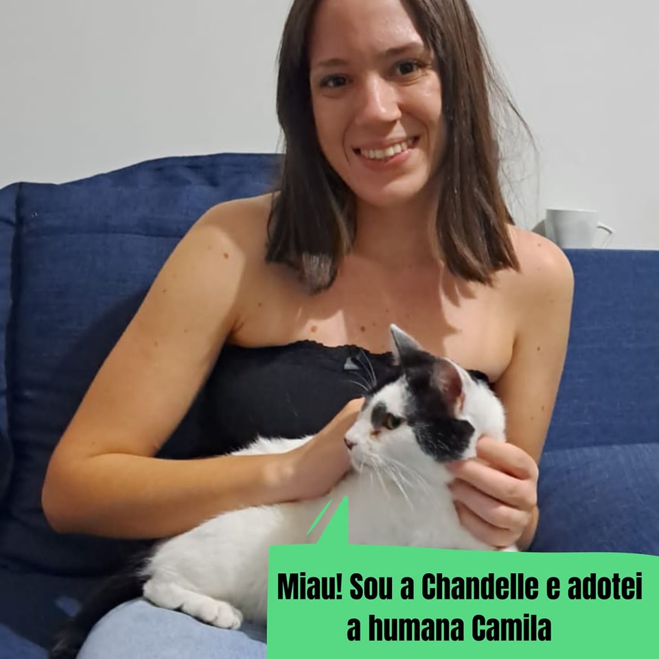 ongflagato's tweet photo. Nada como começar o ano com lindas notícias né, Miaumigos?

Tivemos várias adoções nesse começo de ano!

Mas muitos gatinhos continuam abandonados no Parque 😿

Entre em contato pelo link da bio e ajude a salvar uma vida 💚

Nos ajudem com RT? https://t.co/iiByxmJKra