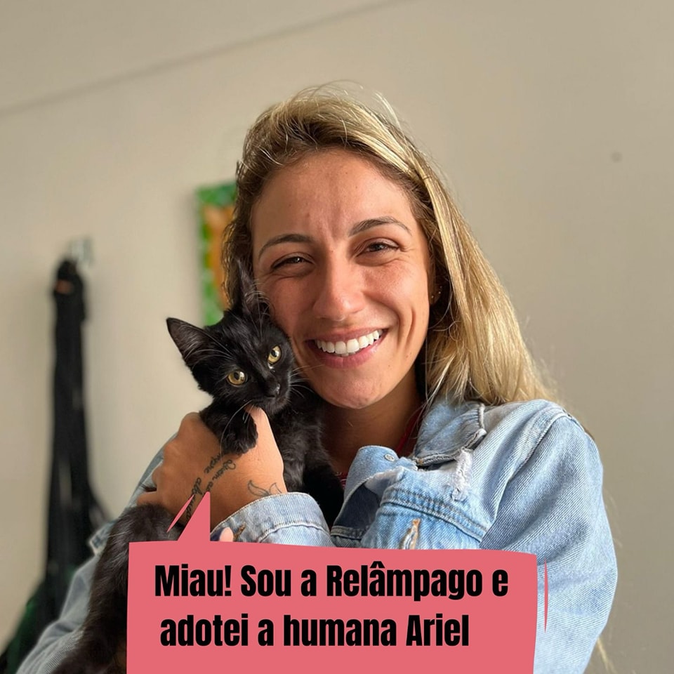 ongflagato's tweet photo. Nada como começar o ano com lindas notícias né, Miaumigos?

Tivemos várias adoções nesse começo de ano!

Mas muitos gatinhos continuam abandonados no Parque 😿

Entre em contato pelo link da bio e ajude a salvar uma vida 💚

Nos ajudem com RT? https://t.co/iiByxmJKra
