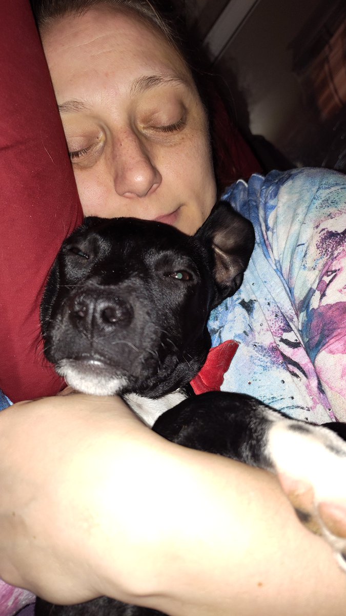 funkyvicious's tweet photo. A little puppy serotonin for your Monday morning commute. #puppycommunity #puppy #Lovestory #serviceanimal #MentalHealthAwareness #cutie #MondayMood https://t.co/X68df5ZTM9