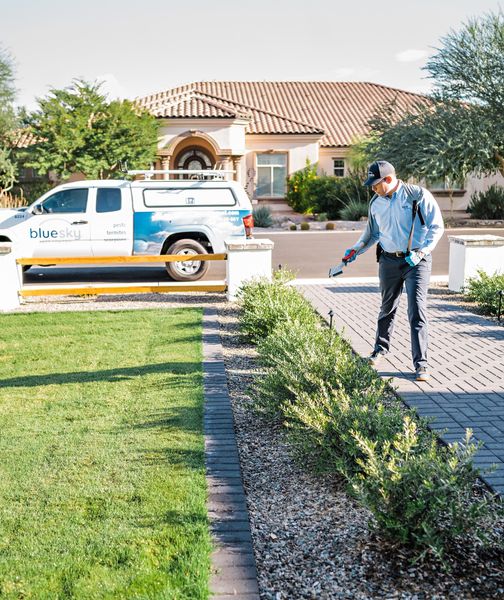 Blue Sky Pest Control tweet media