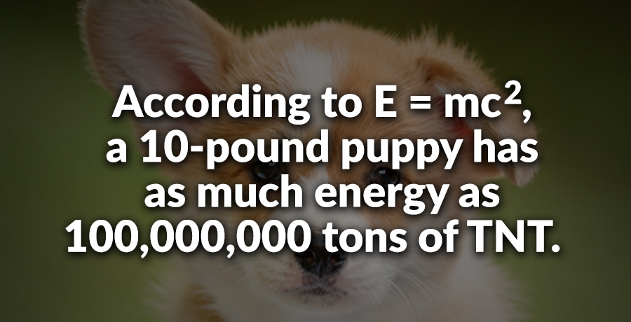 Factinate tweet media