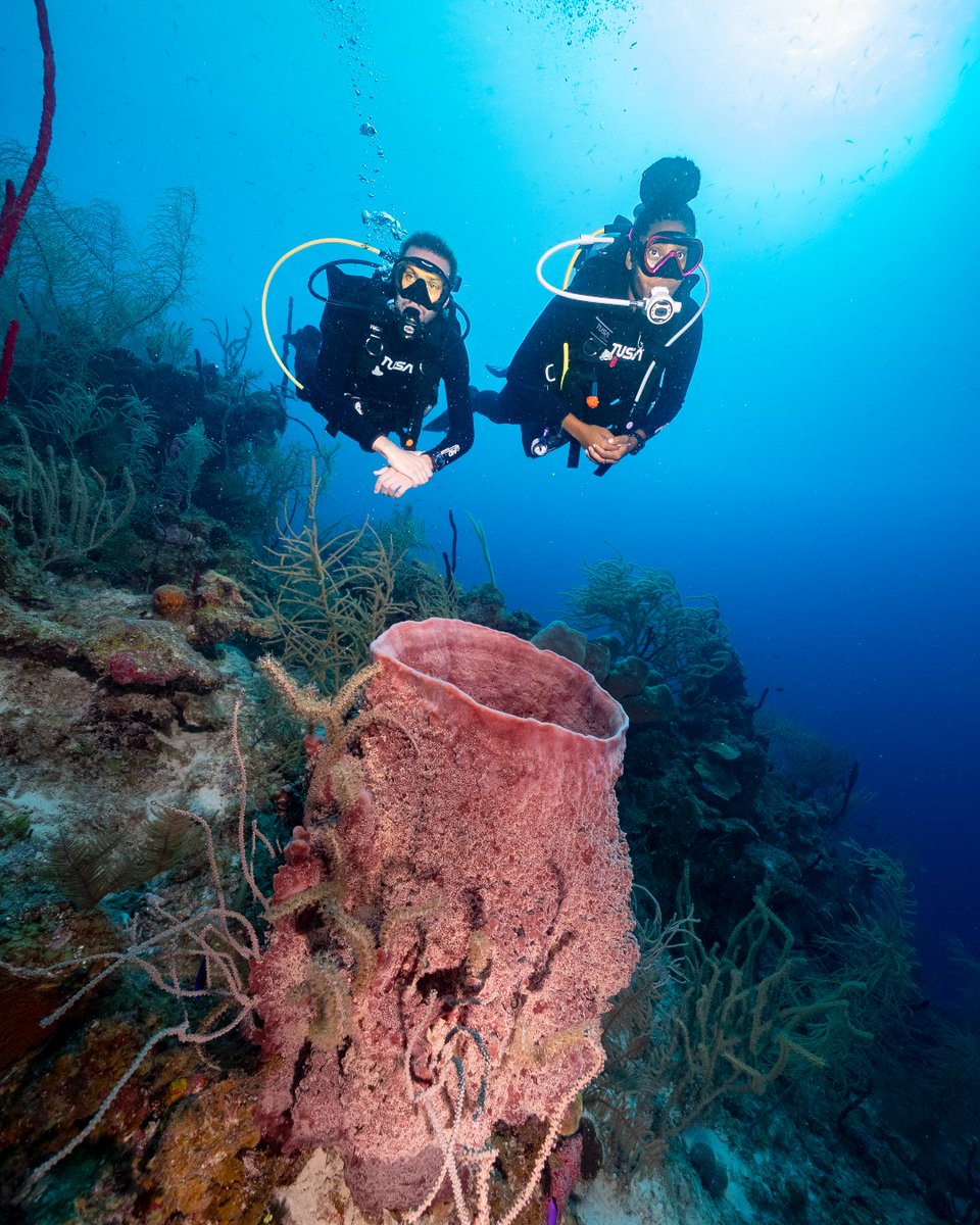 TUSADiving's tweet photo. The Giant Barrel Sponge! Sponges are masters of regeneration, and have been around for millions of years. Did you know they can live to be 2000 years old?

...
#TUSA #FindYourOcean #ExploreMore #oceanfacts #savetheocean #coralreef #divebelize #belize https://t.co/3fu5GKG5ZK