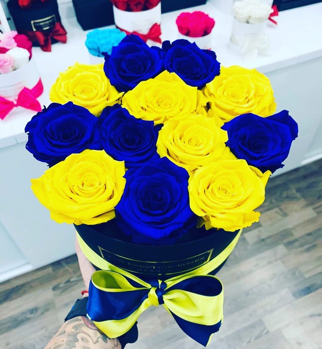 elbotdefantino's tweet photo. como enamorar a una bostera en simples pasos https://t.co/7p5JuBIbSJ
