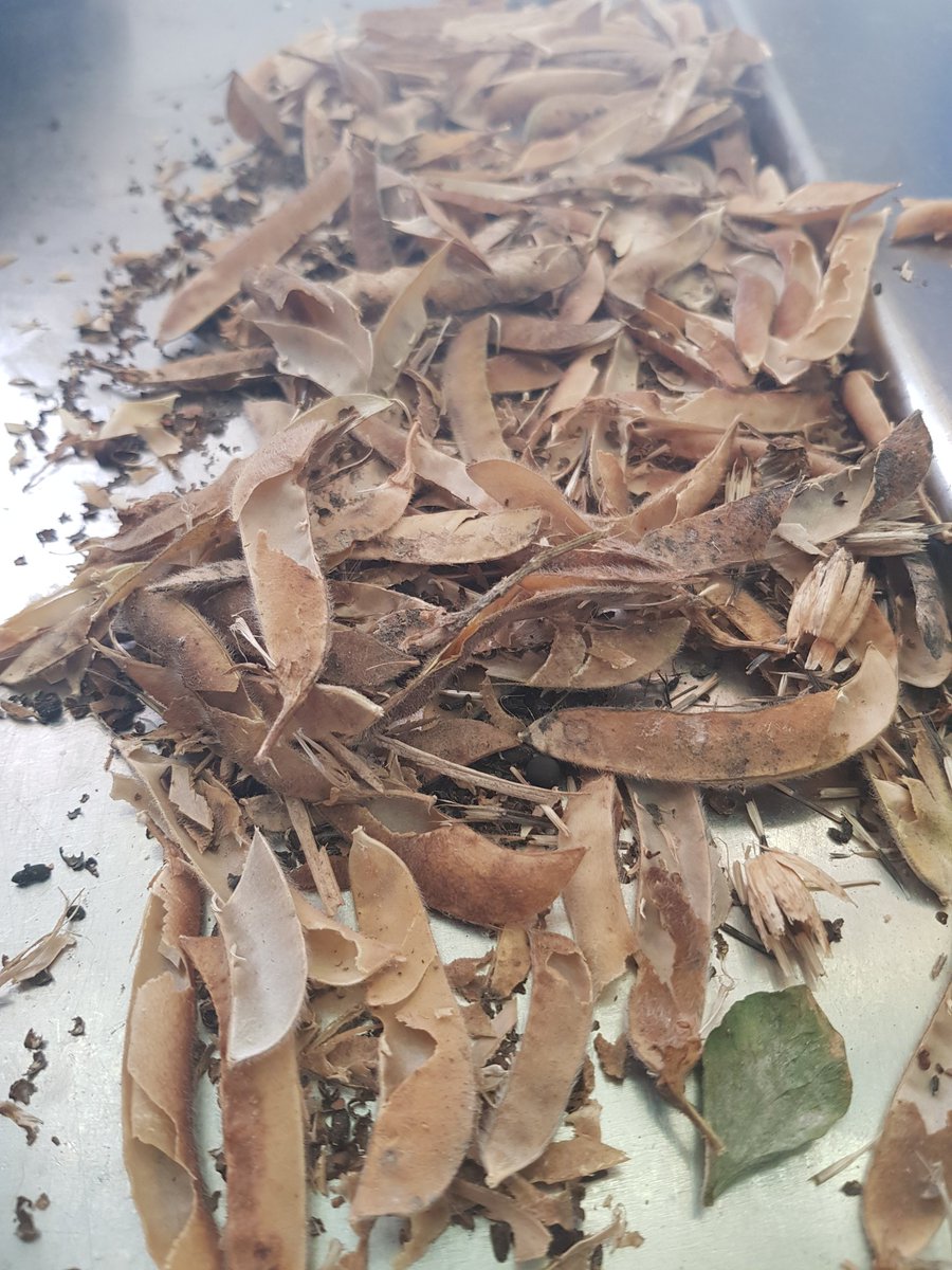 peter jones tweet media