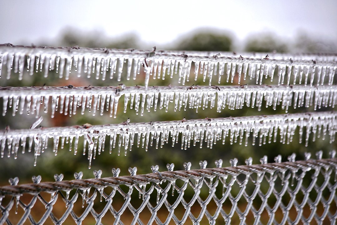 CertTreeCareATX's tweet photo. Winter storms are tough on trees. 🌬️ Strengthen your trees against storm damage with our expert care services. Contact us today! 🌳 #certifiedtreecare #treecare #arboriculture https://t.co/TKfif43dIK