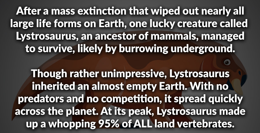 Factinate tweet media