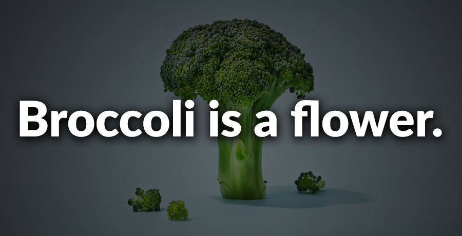 Factinate tweet media