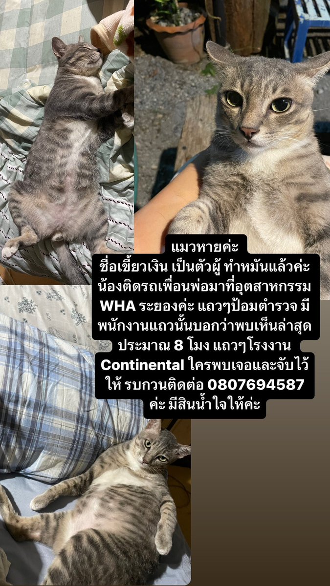 ||| Wang ♥️. tweet media