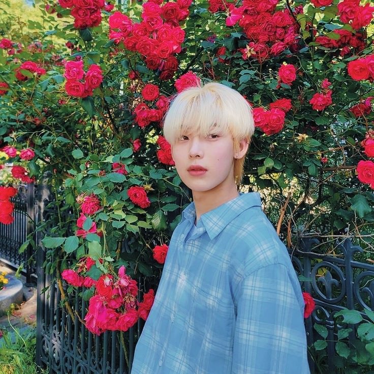 favsniki's tweet photo. literalmente só as flores combinaram 🌺 (lembrando o sunoo de blonde hair)

#ENGENESelcaDay #ENHYPEN #ENSD #SUNOO @ENHYPEN_members https://t.co/JQcUGJrX9A