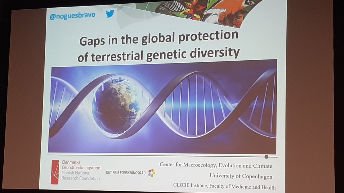 SuzetteFlantua's tweet photo. @pippodemontana @AnneThomas239 #ibsprague2024 @Noguesbravo. Is genetic diversity protected enough globally? Lack of data is huge problem (check the "map of ignorance") but #macrogenetics is thé new field at hand. Genetic diversity is definitely under high pressure and underprotected, like #amazonia #África, https://t.co/H43Y5QfsjN