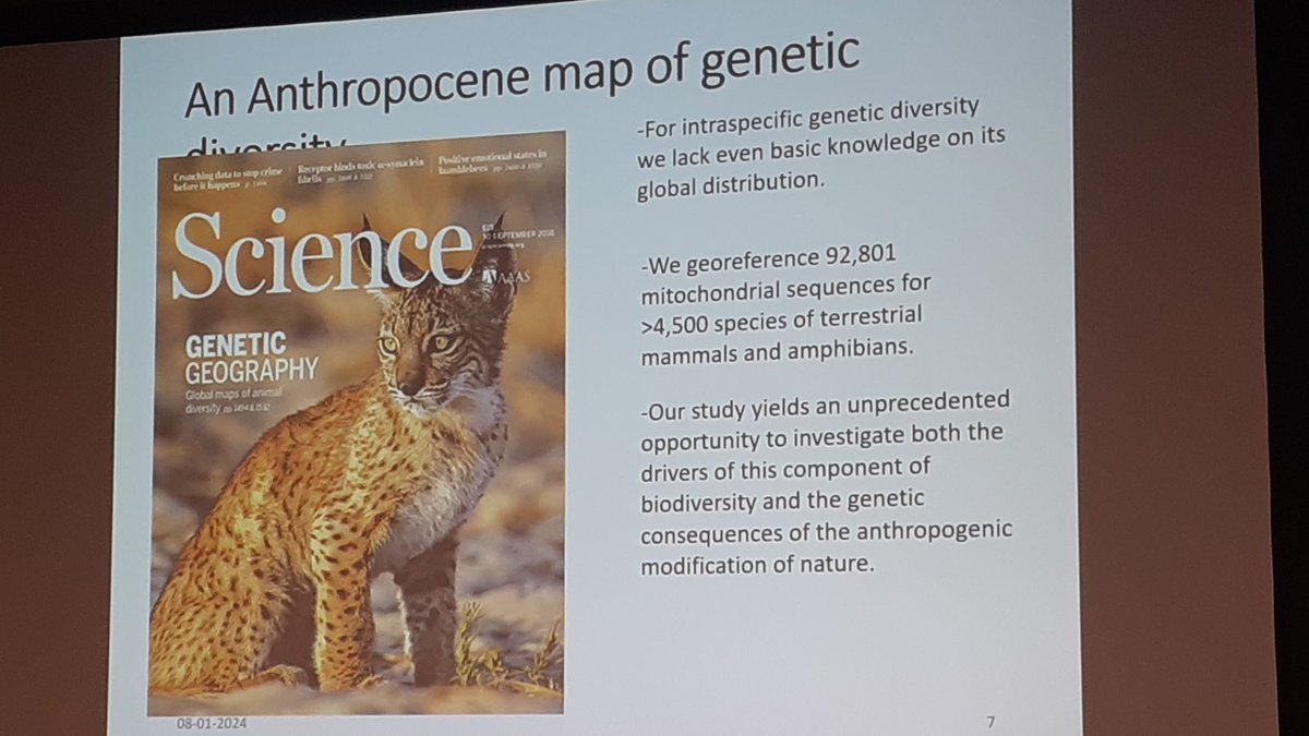 SuzetteFlantua's tweet photo. @pippodemontana @AnneThomas239 #ibsprague2024 @Noguesbravo. Is genetic diversity protected enough globally? Lack of data is huge problem (check the "map of ignorance") but #macrogenetics is thé new field at hand. Genetic diversity is definitely under high pressure and underprotected, like #amazonia #África, https://t.co/H43Y5QfsjN