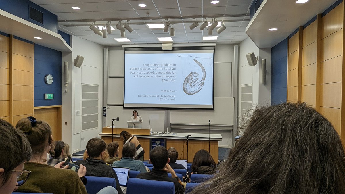 Frank H (@o_o_frank) on Twitter photo Very pleased PhD supervisor, listening to conference talk by <a href="/SarahduPlessi16/">Sarah du Plessis</a> at #PopGroup57 on range-wide genomic variation in Eurasian #otters. Strong west to east (low to high) gradient in diversity, punctuated by strong inbreeding in many populations. Very pleased PhD supervisor, listening to conference talk by <a href="/SarahduPlessi16/">Sarah du Plessis</a> at #PopGroup57 on range-wide genomic variation in Eurasian #otters. Strong west to east (low to high) gradient in diversity, punctuated by strong inbreeding in many populations.