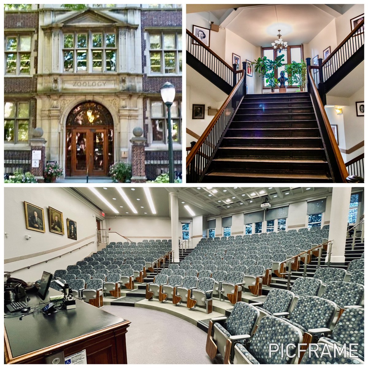 Dalmacio Dennis Flores 🌈🇵🇭 tweet media