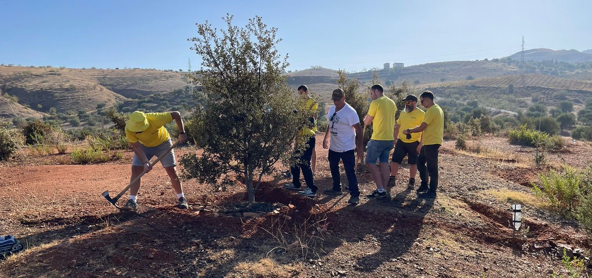 RevvityInc's tweet photo. #Revvity team pitched in at Food Banks in Barcelona and Madrid, sorting and packing food for those in need. In Granada, we created furrows for rainwater harvesting and handled essential irrigation tasks. #UnitedInImpact https://t.co/NDguRAjdti