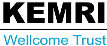 Research Officer – Infectious Disease Modelling at KEMRI Wellcome Trust Research Programme (KWTRP) jobupdatesconnections.co.ke/research-offic…