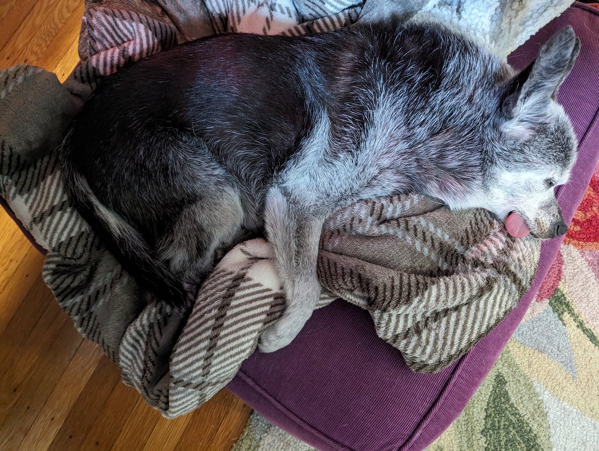 MilesSleeping's tweet photo. https://t.co/d5jHlMAOkv