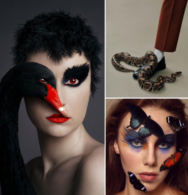 Profoto tweet media