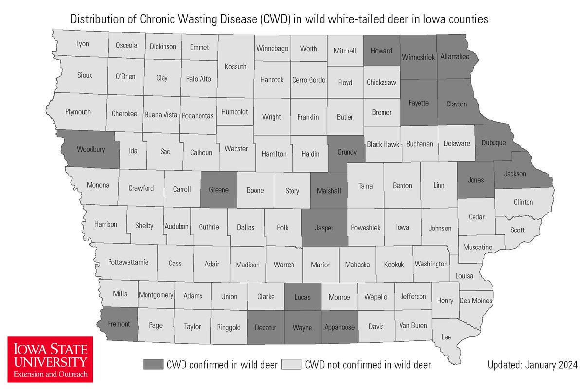 adamkjanke's tweet image. New CWD map. We hate new CWD maps. 

Welcome to the club, Jones and Howard Counties. 

The good news is prevalence is still low statewide and hunters and landowners can help slow the spread! 

🔗naturalresources.extension.iastate.edu/wildlife/cwd