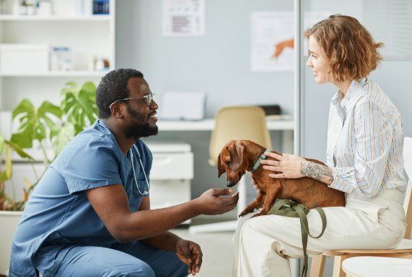LivuniILCaMS's tweet photo. 📢A new @PLOSONE publication by @LivUniVetSchool and partners at @DogsTrust describes a unique questionaire-based approach to detecting and predicting dog mobility issues 🐕➡️https://t.co/UHFOJia7gK
#GAITlab https://t.co/D6WiN0eou2