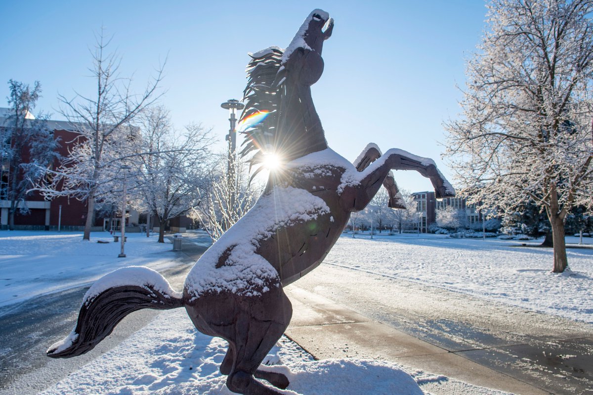 BoiseState's tweet photo. Welcome back Broncos! What a beautiful snowy campus to return to for the first day of spring semester ❄️

https://t.co/pkcBOAMBzZ https://t.co/4FkuVOIwLN
