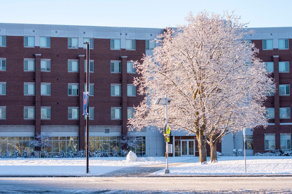 BoiseState's tweet photo. Welcome back Broncos! What a beautiful snowy campus to return to for the first day of spring semester ❄️

https://t.co/pkcBOAMBzZ https://t.co/4FkuVOIwLN